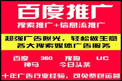 SEM推广技巧：成功案例深度剖析